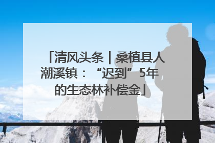 清风头条｜桑植县人潮溪镇：“迟到”5年的生态林补偿金