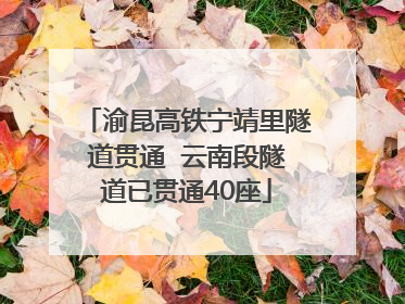 渝昆高铁宁靖里隧道贯通  云南段隧道已贯通40座