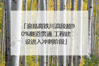 渝昆高铁川滇段超90%隧道贯通 工程建设进入冲刺阶段