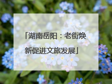 湖南岳阳：老街焕新促进文旅发展
