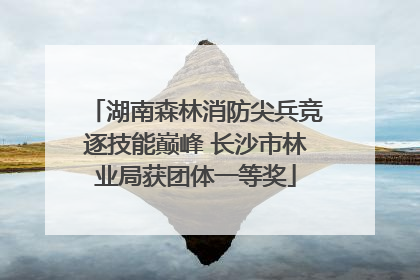 湖南森林消防尖兵竞逐技能巅峰 长沙市林业局获团体一等奖