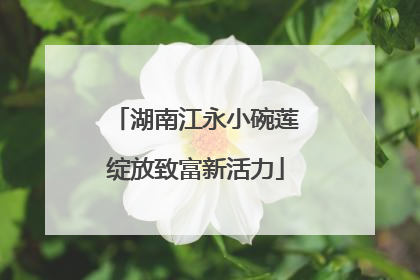 湖南江永小碗莲绽放致富新活力