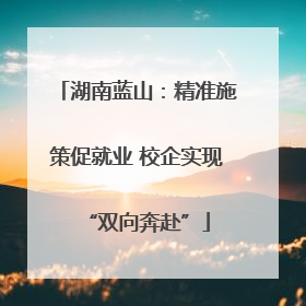 湖南蓝山：精准施策促就业 校企实现“双向奔赴”