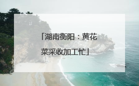 湖南衡阳：黄花菜采收加工忙