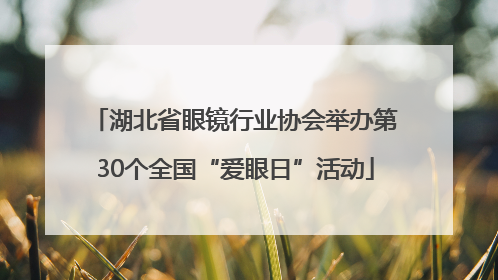 湖北省眼镜行业协会举办第30个全国“爱眼日”活动
