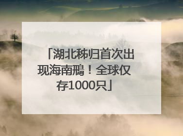 湖北秭归首次出现海南鳽！全球仅存1000只