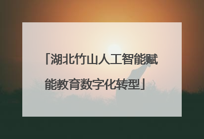 湖北竹山人工智能赋能教育数字化转型
