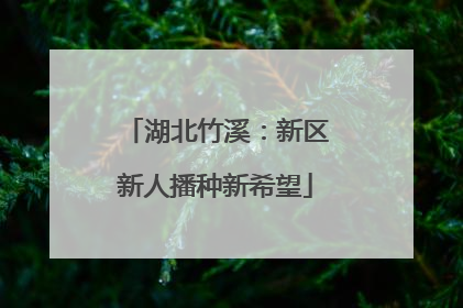 湖北竹溪：新区新人播种新希望