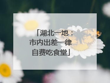 湖北一地：市内出差一律自费吃食堂