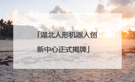 湖北人形机器人创新中心正式揭牌