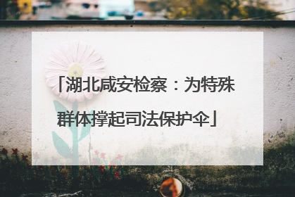 湖北咸安检察：为特殊群体撑起司法保护伞