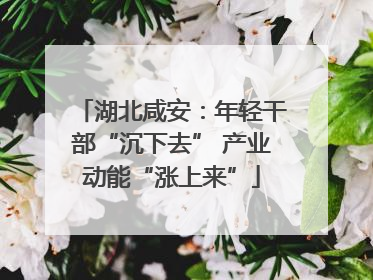 湖北咸安：年轻干部“沉下去” 产业动能“涨上来”