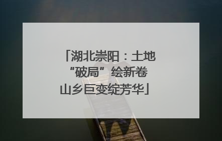 湖北崇阳：土地“破局”绘新卷 山乡巨变绽芳华