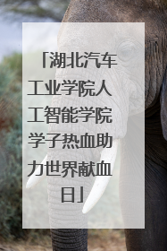 湖北汽车工业学院人工智能学院学子热血助力世界献血日