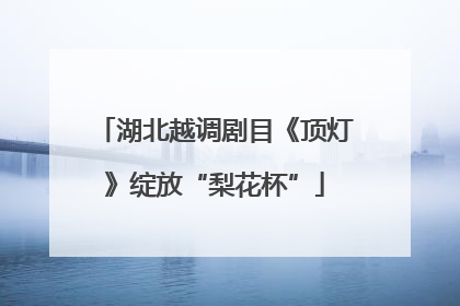 湖北越调剧目《顶灯》绽放“梨花杯”