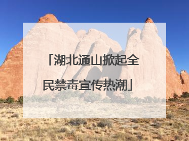 湖北通山掀起全民禁毒宣传热潮