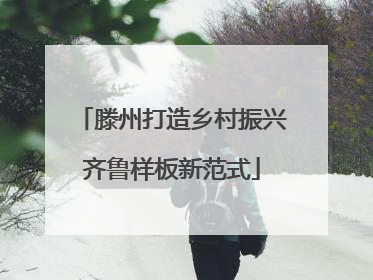 滕州打造乡村振兴齐鲁样板新范式