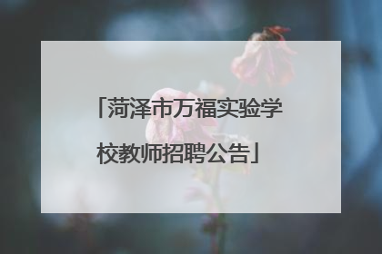 菏泽市万福实验学校教师招聘公告