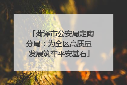 菏泽市公安局定陶分局：为全区高质量发展筑牢平安基石