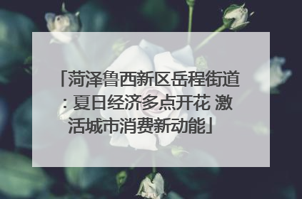 菏泽鲁西新区岳程街道：夏日经济多点开花 激活城市消费新动能