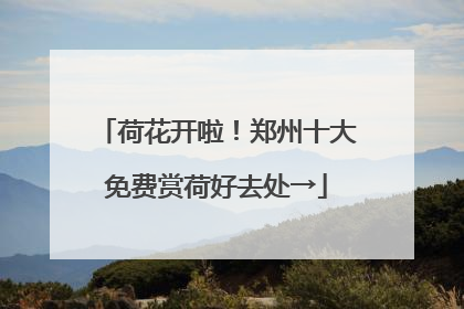 荷花开啦！郑州十大免费赏荷好去处→