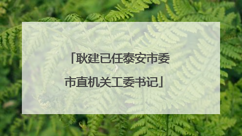 耿建已任泰安市委市直机关工委书记