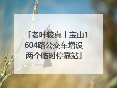 老叶较真丨宝山1604路公交车增设两个临时停靠站
