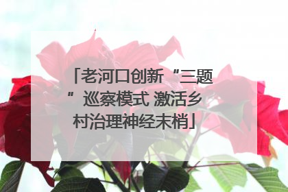 老河口创新“三题”巡察模式 激活乡村治理神经末梢