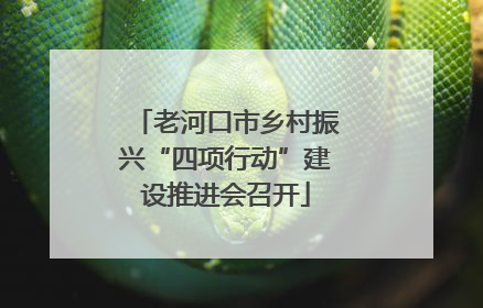 老河口市乡村振兴“四项行动”建设推进会召开