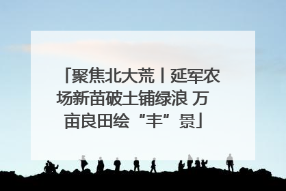 聚焦北大荒丨延军农场新苗破土铺绿浪 万亩良田绘“丰”景