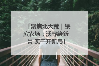 聚焦北大荒｜绥滨农场：沃野绘新景 实干开新局