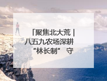 聚焦北大荒｜八五九农场深耕“林长制” 守护“生态绿”
