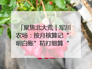 聚焦北大荒｜军川农场：按月核算记“明白账”精打细算“过紧日子”