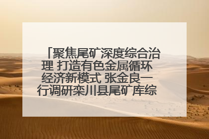 聚焦尾矿深度综合治理 打造有色金属循环经济新模式 张金良一行调研栾川县尾矿库综合治理工作