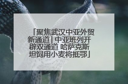 聚焦武汉中亚外贸新通道│中亚班列开辟双通道 哈萨克斯坦饲用小麦将抵鄂
