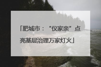 肥城市：“仪家亲”点亮基层治理万家灯火