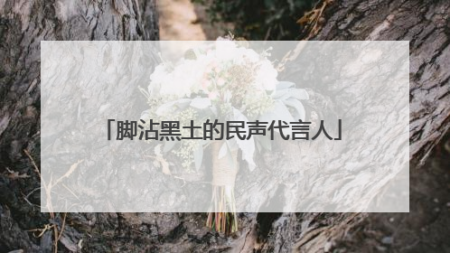 脚沾黑土的民声代言人