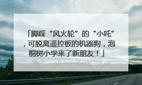 脚踩“风火轮”的“小吒”，可脱离遥控板的机器狗，泡桐树小学来了新朋友！