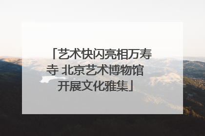 艺术快闪亮相万寿寺 北京艺术博物馆开展文化雅集
