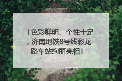 色彩鲜明、个性十足，济南地铁8号线彩龙路车站绚丽亮相