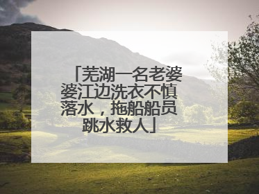 芜湖一名老婆婆江边洗衣不慎落水，拖船船员跳水救人