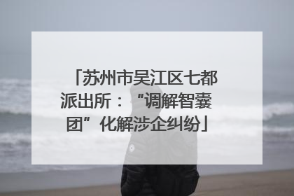 苏州市吴江区七都派出所：“调解智囊团”化解涉企纠纷