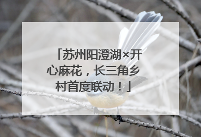 苏州阳澄湖×开心麻花，长三角乡村首度联动！