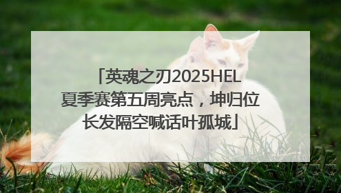 英魂之刃2025HEL夏季赛第五周亮点，坤归位长发隔空喊话叶孤城
