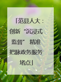 范县人大：创新“沉浸式监督” 精准把脉政务服务堵点