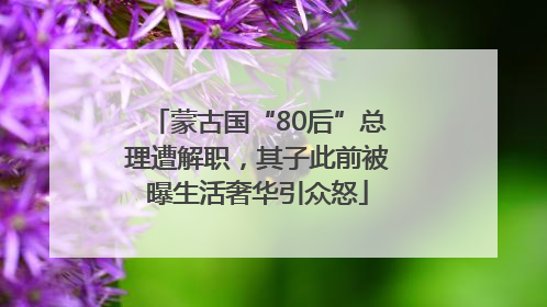 蒙古国“80后”总理遭解职，其子此前被曝生活奢华引众怒
