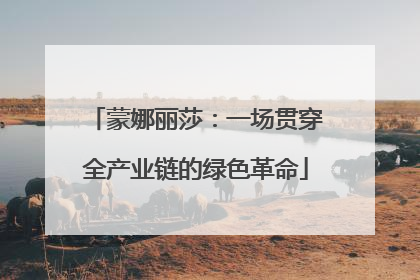 蒙娜丽莎：一场贯穿全产业链的绿色革命