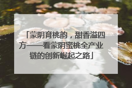 蒙阴育桃韵，甜香溢四方——看蒙阴蜜桃全产业链的创新崛起之路