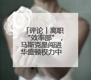 评论丨离职“效率部”，马斯克是闯进华盛顿权力中心的“大象”？