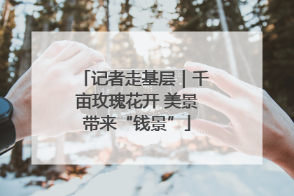 记者走基层｜千亩玫瑰花开 美景带来“钱景”